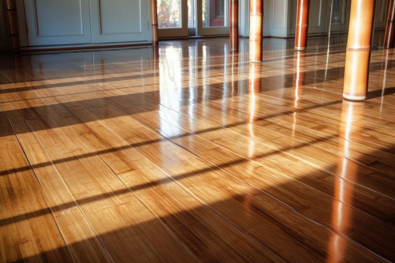 Bamboo Flooring Installation in Silver Spring, MD